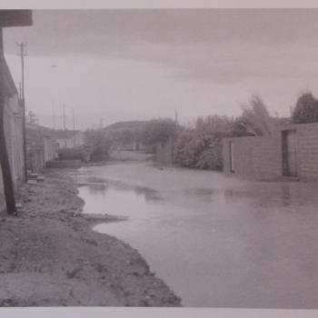 Il paese di Solarussa colpito da un'esondazione del fiume Tirso (Ledda 1996: 56).