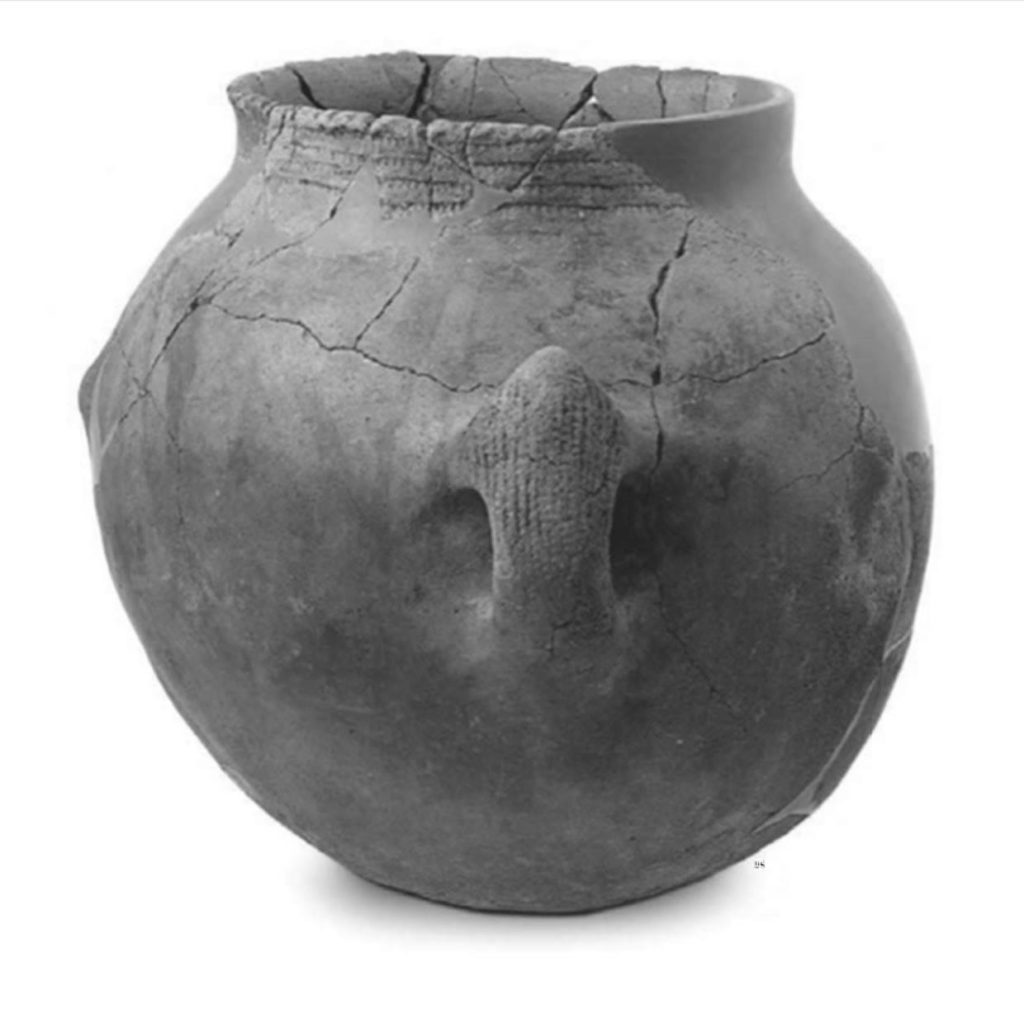 Vaso globulare ceramica cardiale, neolitico antico VI millennio a.C., rinvenuto nella Grotta Verde di Alghero (Fonte: Ceramics.it)